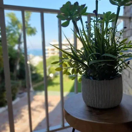 Seaview * Τορρεμολίνος